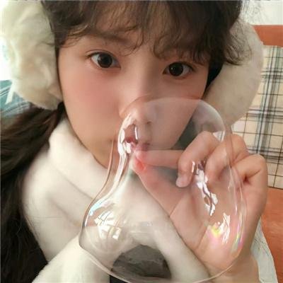 石纪元第四季
