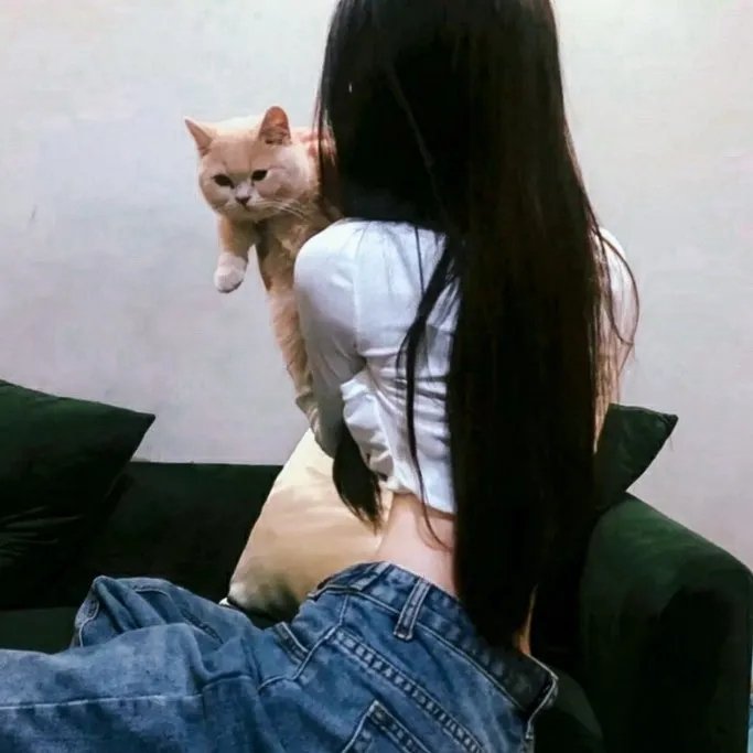 上流秘笈