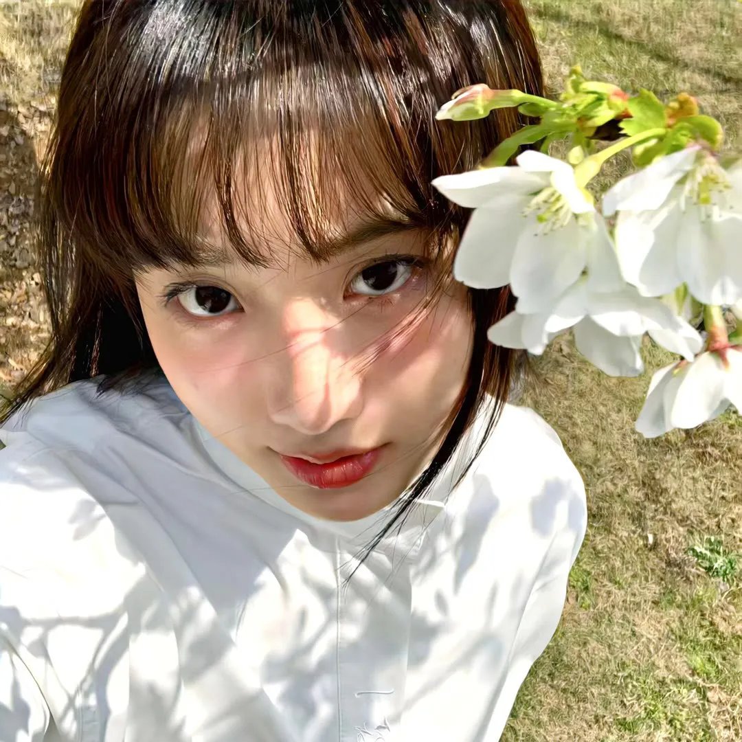 间谍嬉春